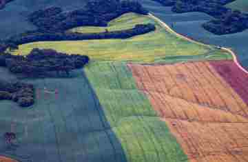 TRF4 mantém vitória do Paraná sobre legislação ambiental e dá segurança aos agricultores